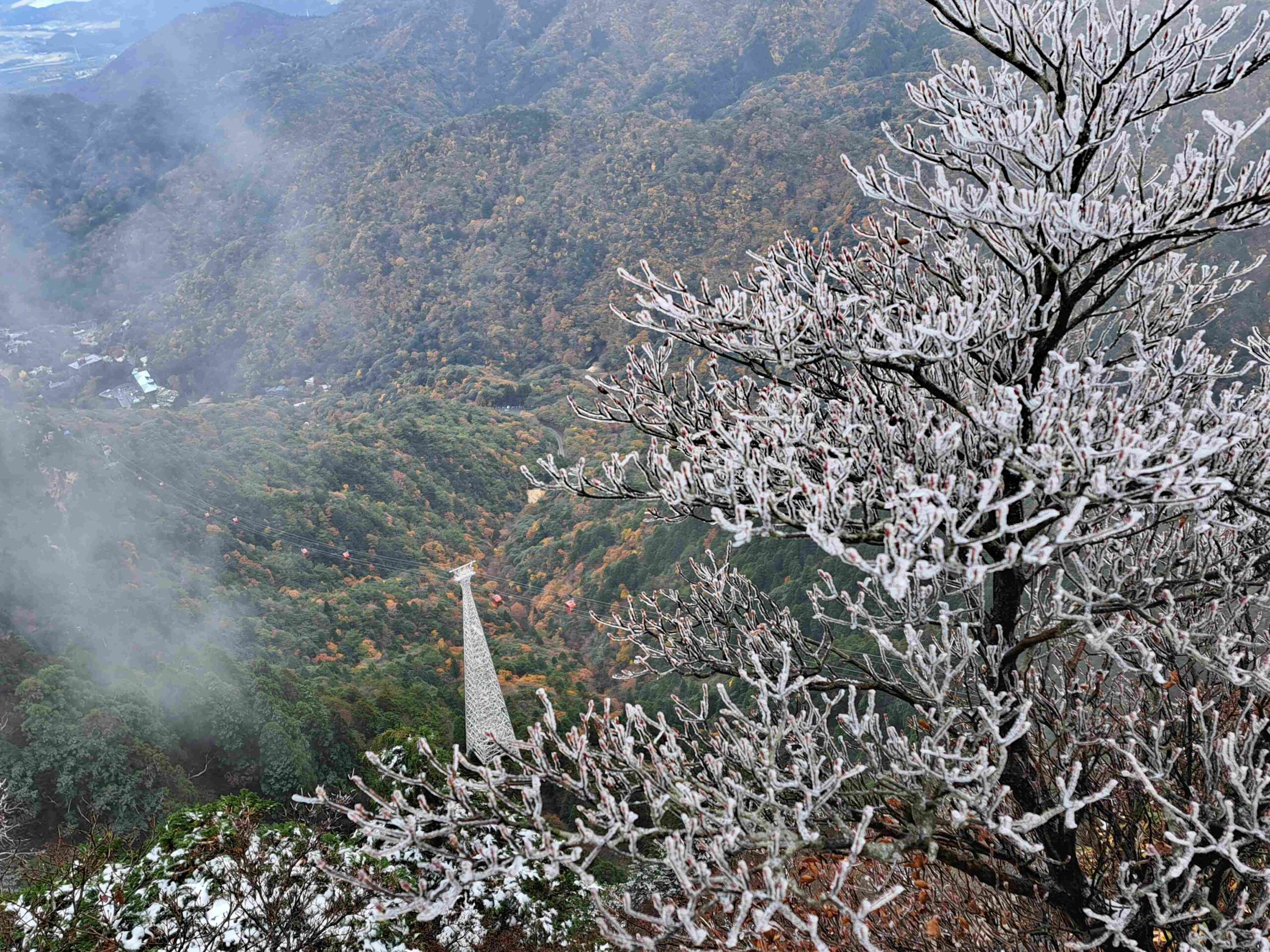 25/11/19 紅葉と樹氷の競演　御在所岳で初冠雪