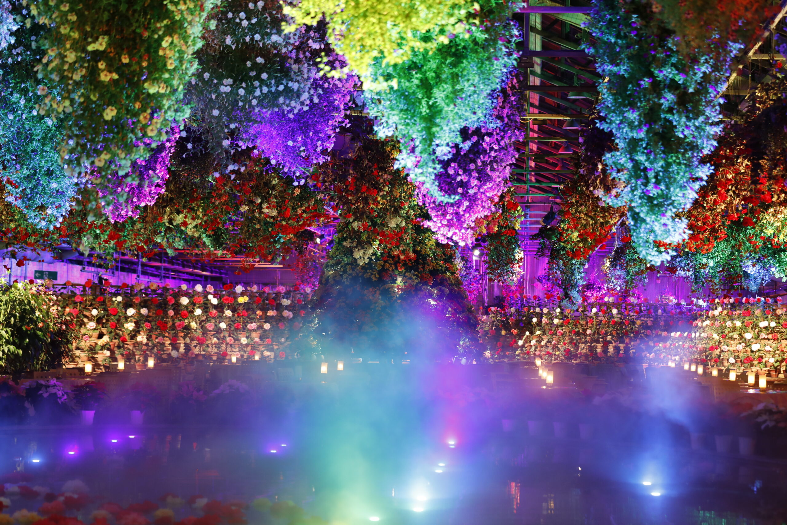 25/11/14 スペシャルツリーでクリスマスは特別演出　なばなの里イルミネーション