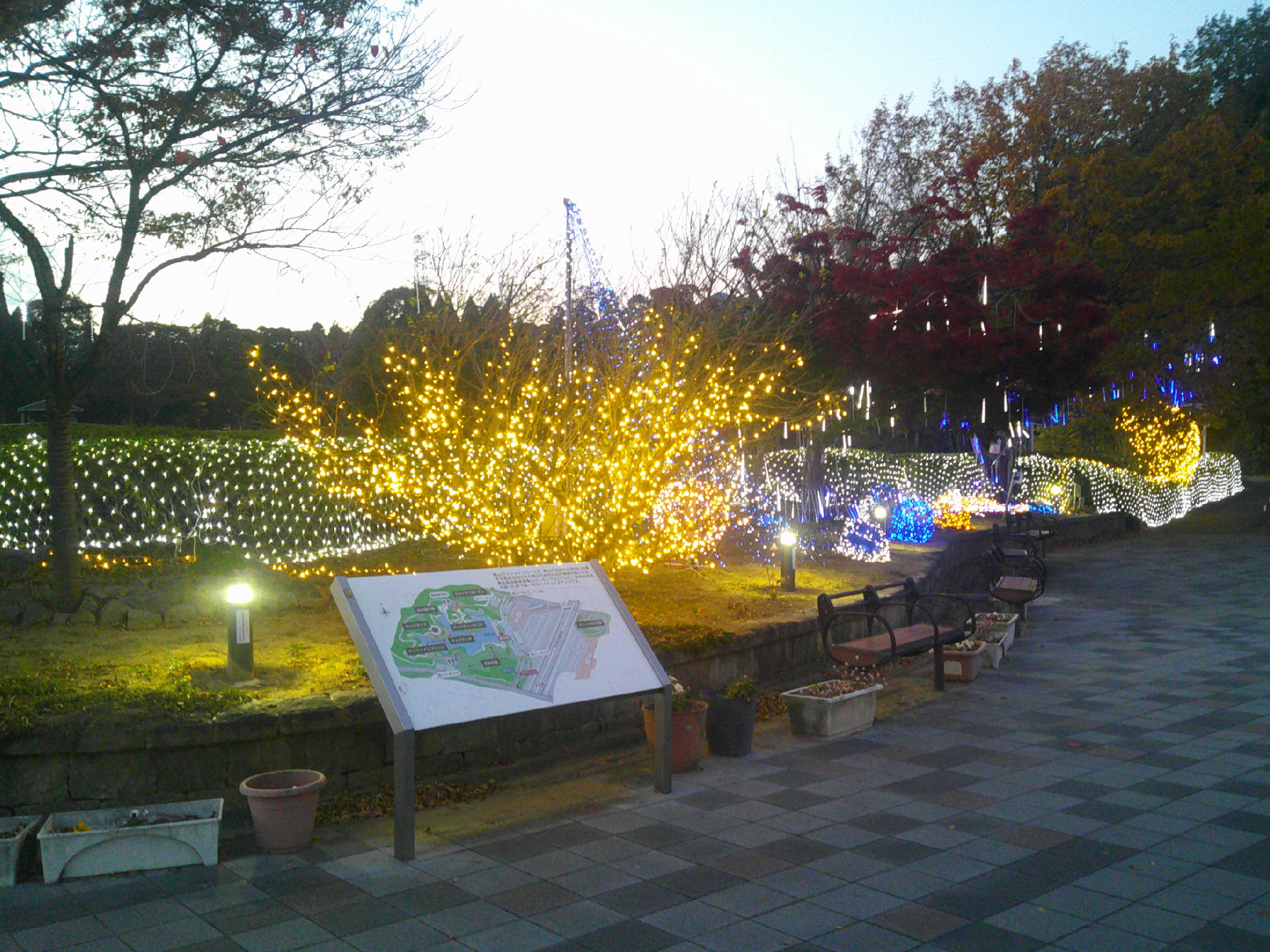 25/11/27 園内彩るイルミネーション　亀山サンシャインパーク　12月１日～１月12日